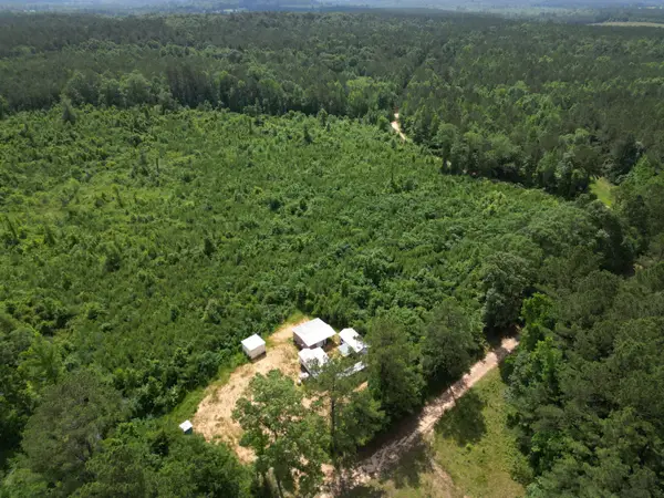 County Road 2337, Bay Springs, MS 39422