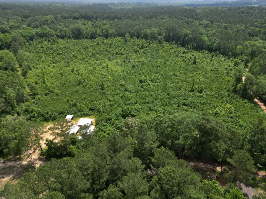 County Road 2337, Bay Springs, MS 39422 - #2