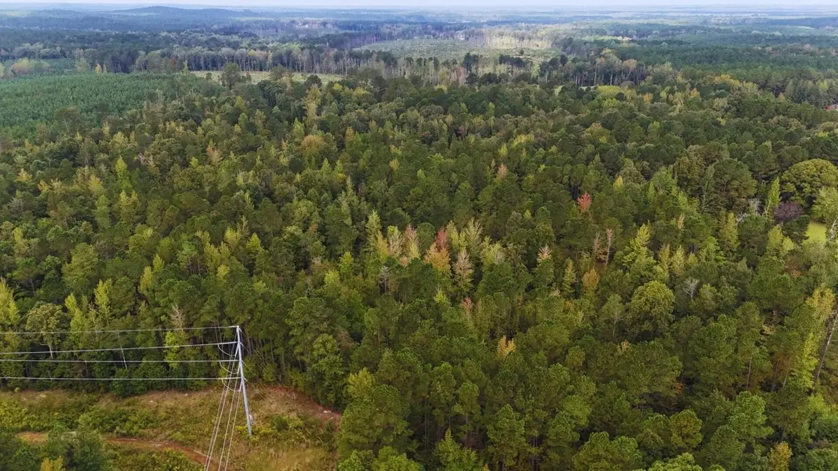 Mountain Rd, McCool, MS 39108 - Image #1