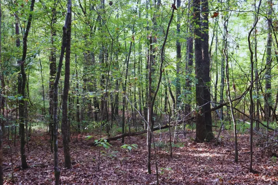 Mountain Rd, McCool, MS 39108 - Image #2