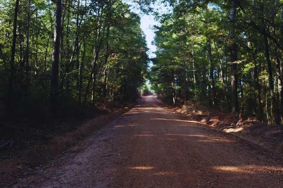 Mountain Rd, McCool, MS 39108 - Image #3