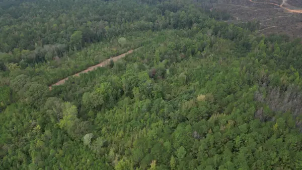 Firetower Rd, Smithville, MS 38870