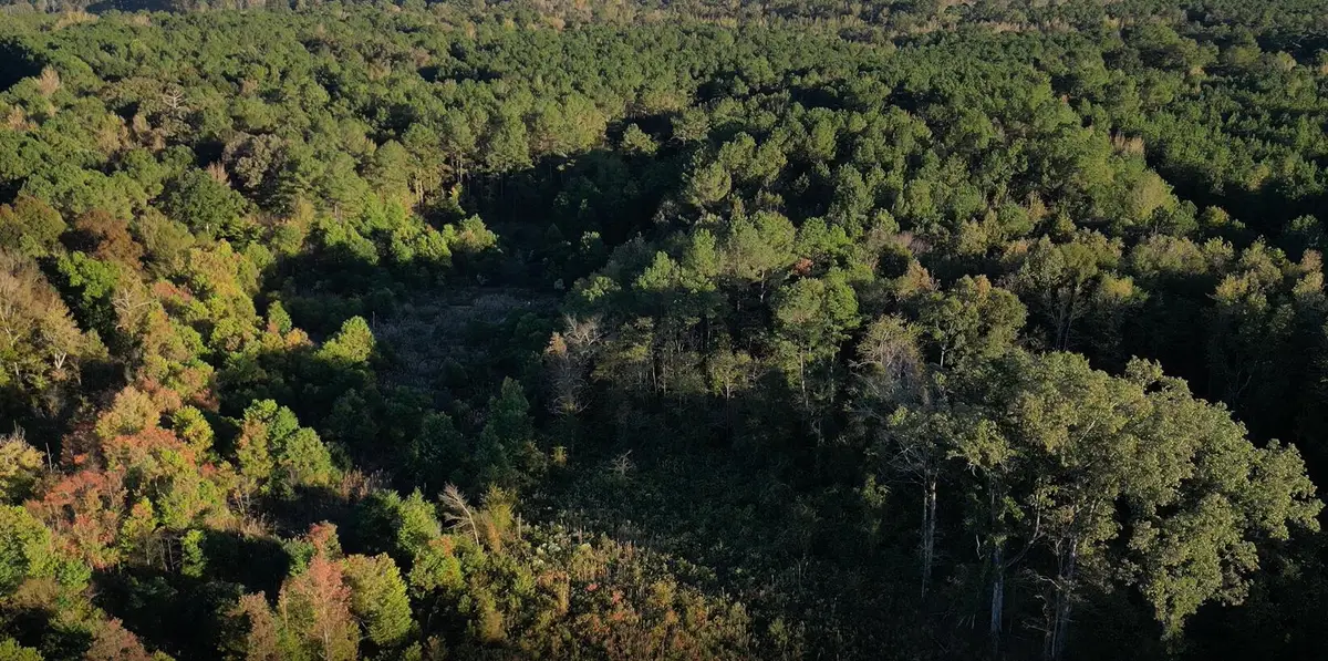 Smith Rd, Sturgis, MS 39769 - Image #1