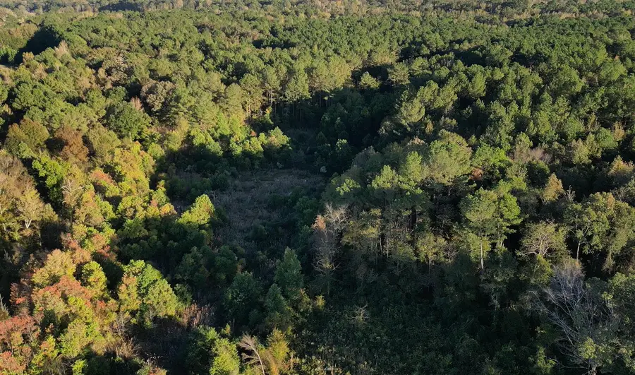 Smith Rd, Sturgis, MS 39769 - Image #2