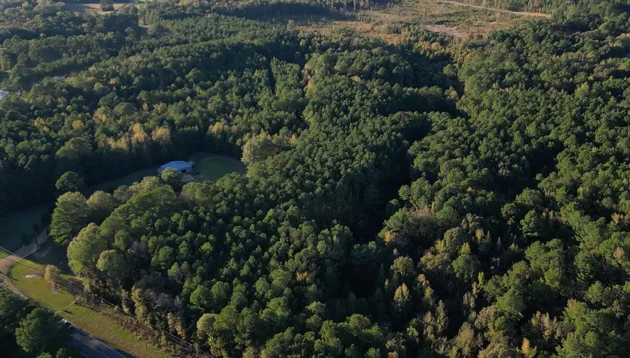 Smith Rd, Sturgis, MS 39769 - Image #3