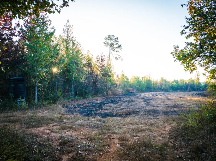 0 Hill Rd, Mantee, MS 39751 - Image #3