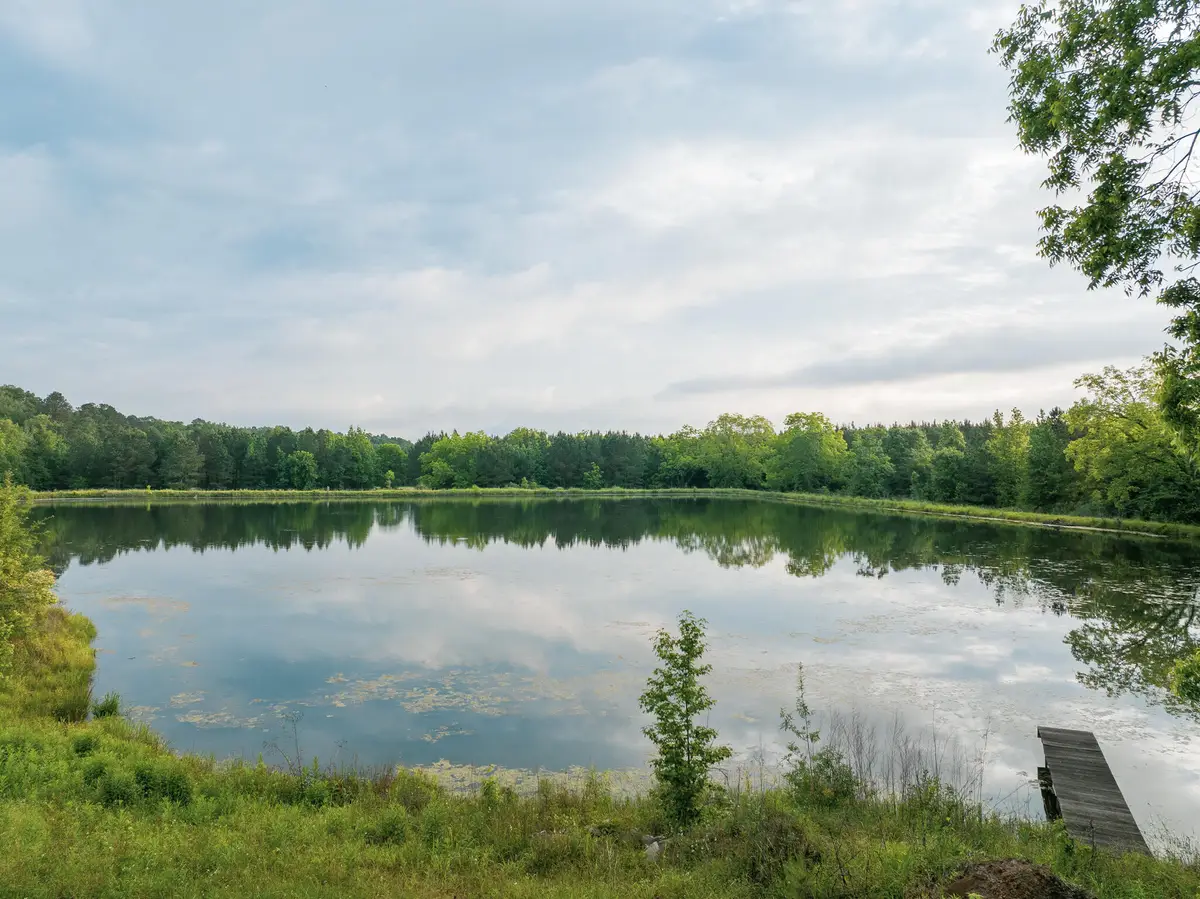 317 Forrest Hill Cir, Aberdeen, MS 39730 - Image #1