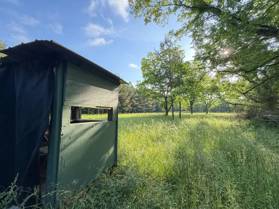 317 Forrest Hill Cir, Aberdeen, MS 39730 - Image #2