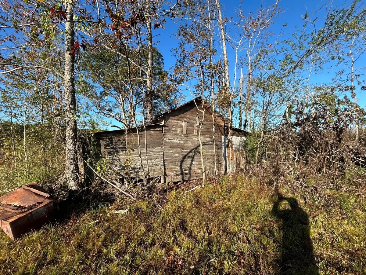 Ward Road, Fayette, AL 35555 - Image #1