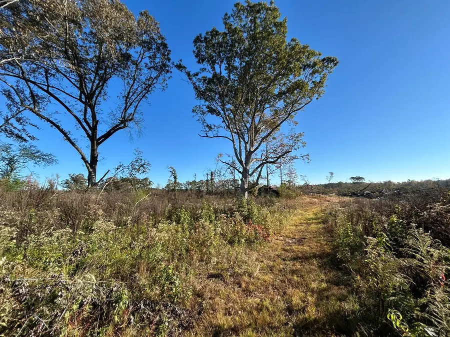 Ward Road, Fayette, AL 35555 - Image #3