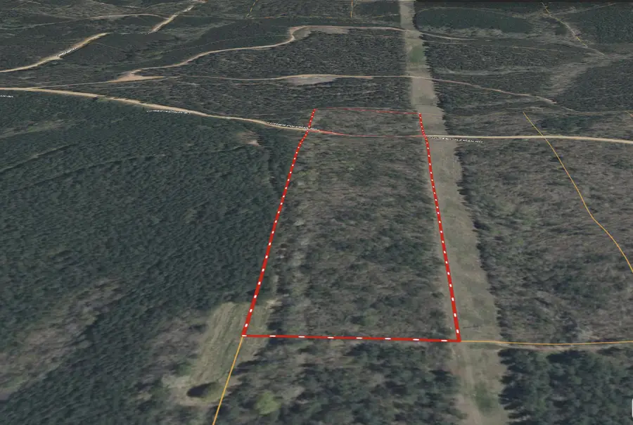 Luther Coleman Road, Carrollton, AL 35447 - Image #2