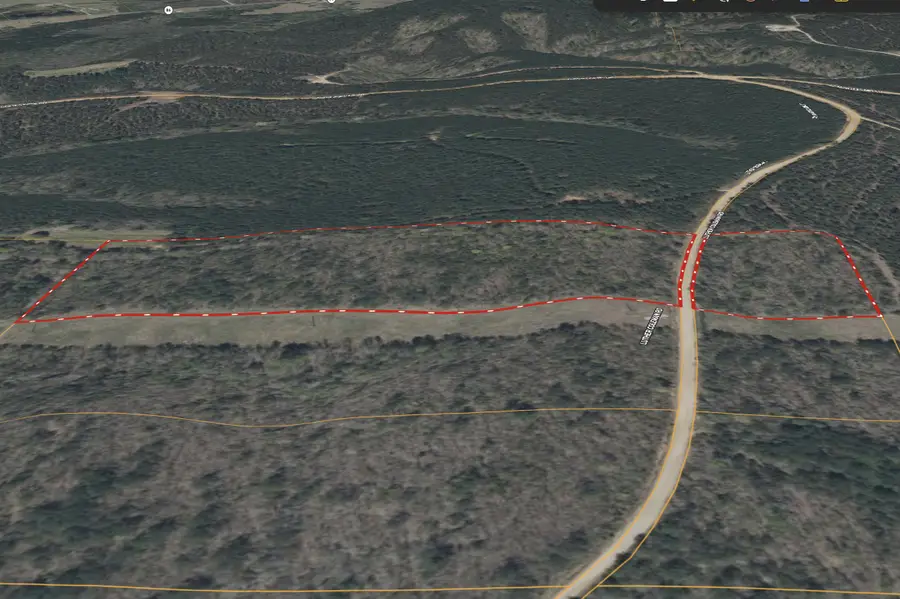 Luther Coleman Road, Carrollton, AL 35447 - Image #3