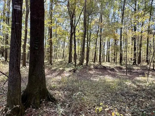 Wilson Rd., Pheba, MS 39755 - Image #3