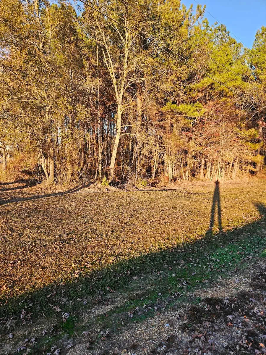 0 Wolfe Trail, Caledonia, MS 39740 - Image #2