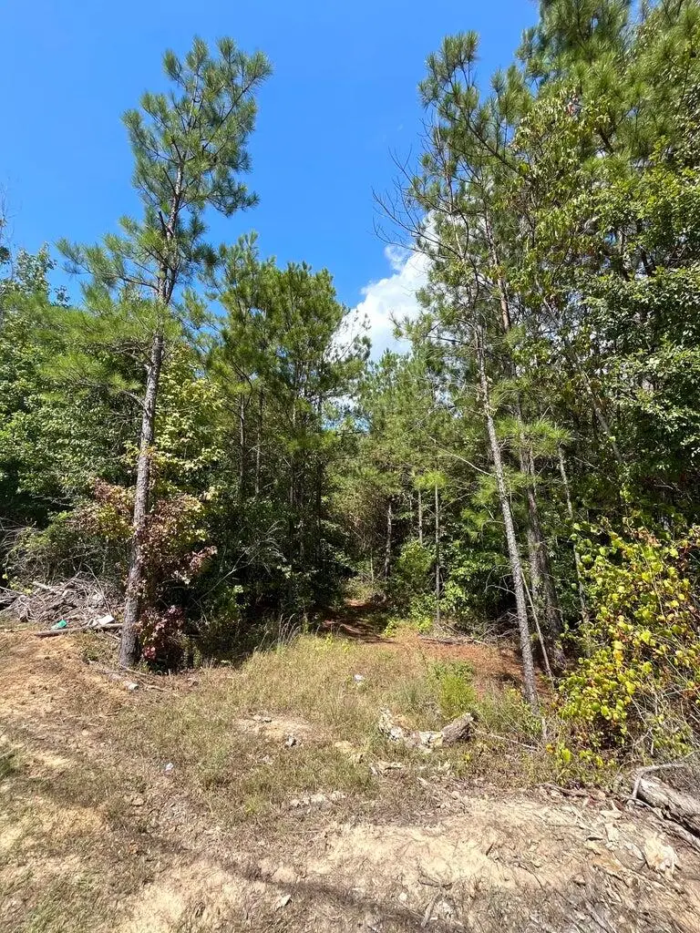 0 Yorkville Rd, Columbus, MS 39702 - Image #2