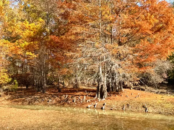 4134 Barton Ferry Rd, Columbus, MS 39705