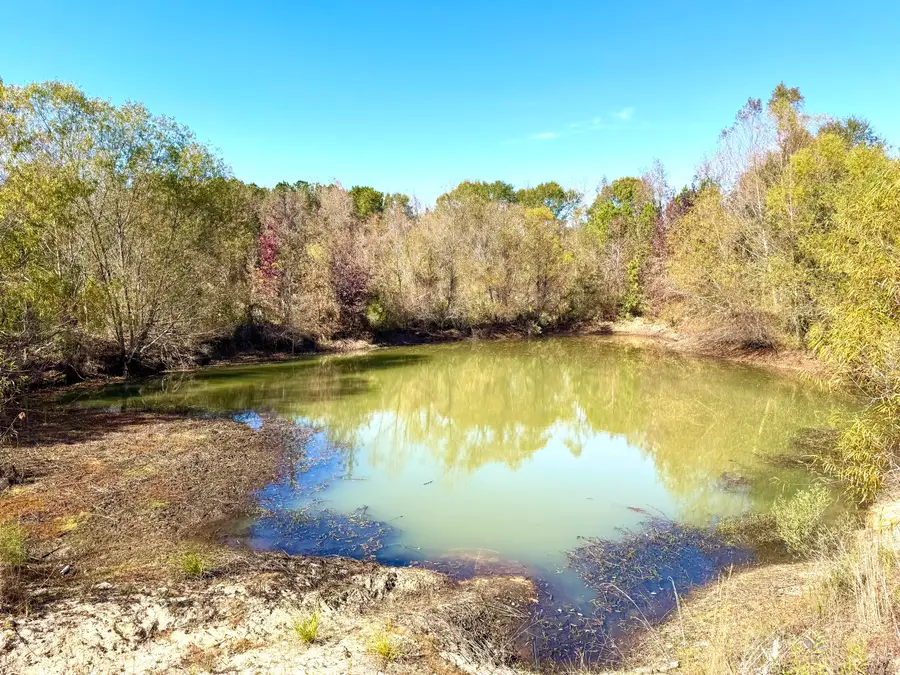 4134 Barton Ferry Rd, Columbus, MS 39705 - Image #3