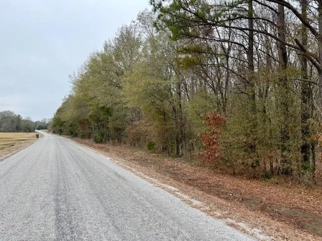 12 Acres Reed Rd, Starkville, MS 39759 - Image #3