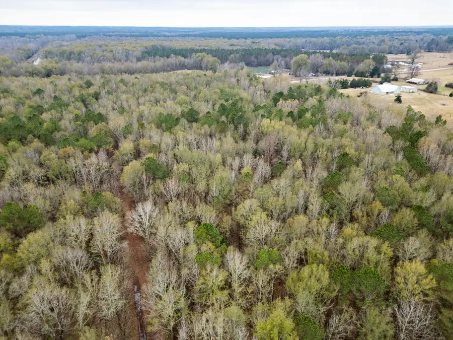 10 Acres Reed Rd, Starkville, MS 39759 - Image #3