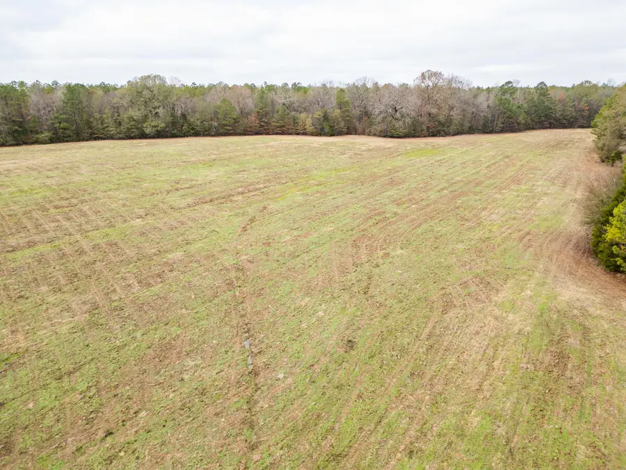 Jack Forrester Rd., Mantee, MS 39751 - Image #2