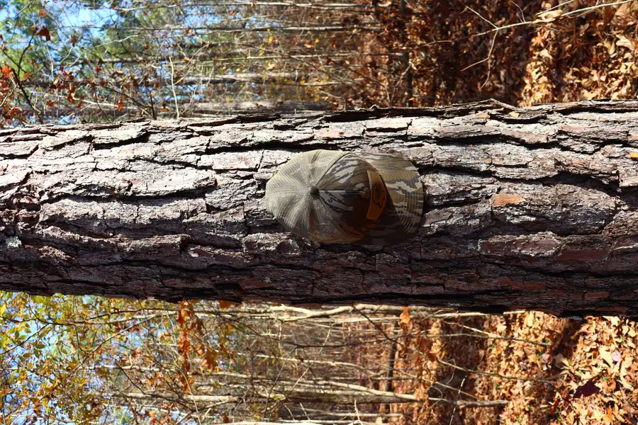 Maben-bell Schoolhouse, Maben, MS 39755 - Image #2