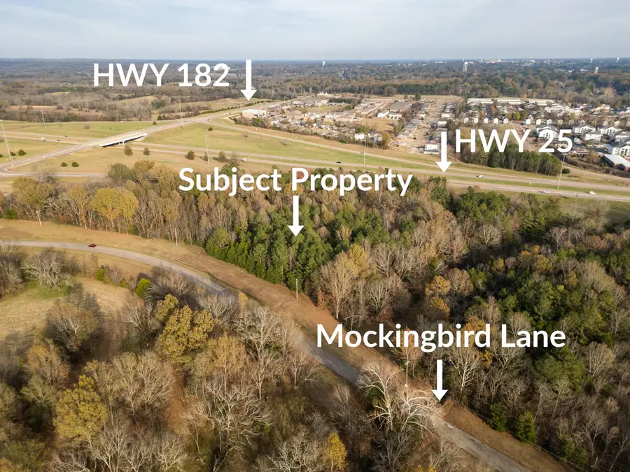 0 Hwy182/hwy 25/mockingbird Road, Starkville, MS 39759 - Image #3
