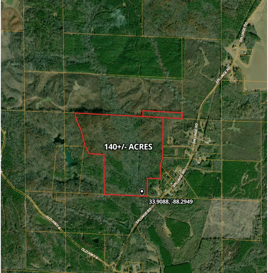 50196 Splunge Rd, Greenwood Springs, MS 38848 - Image #2