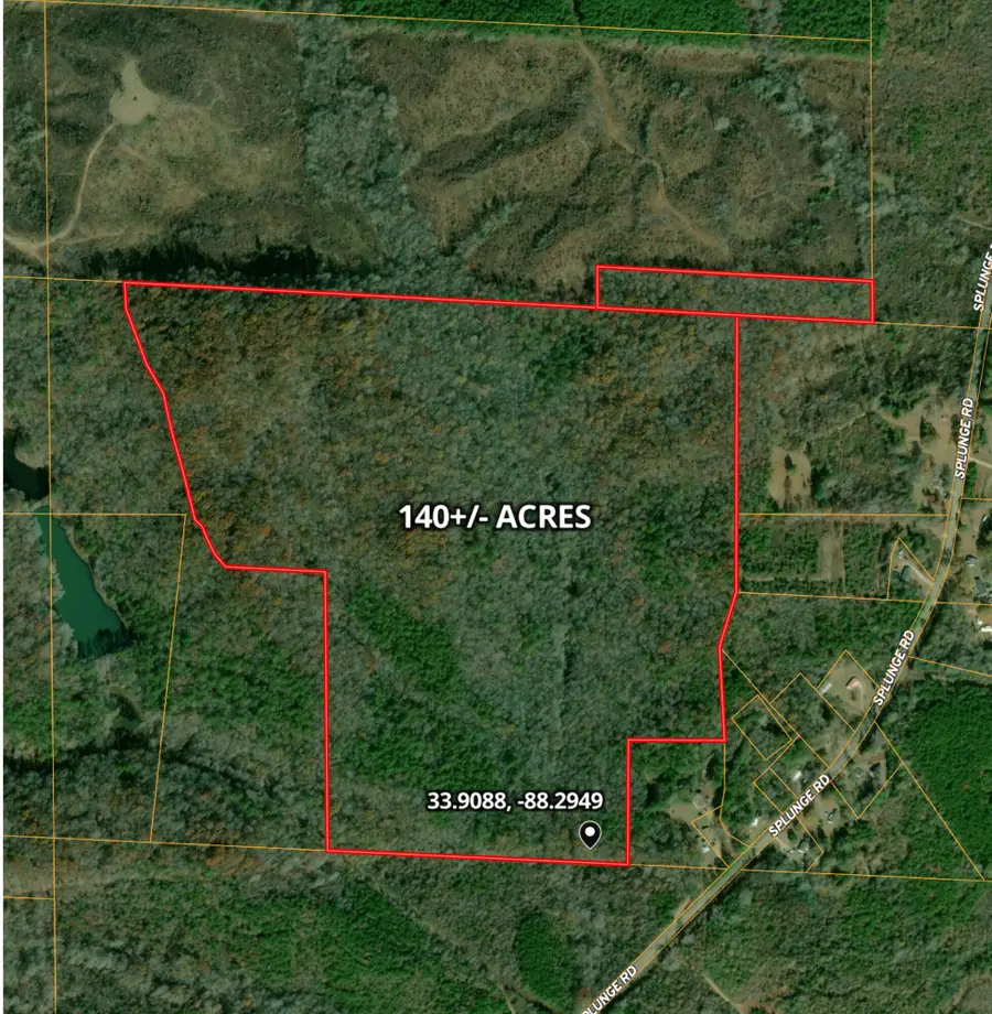 50196 Splunge Rd, Greenwood Springs, MS 38848 - Image #3