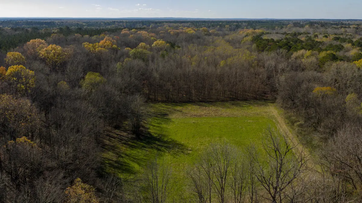 Oktoc Road, Starkville, MS 39759 - Image #1