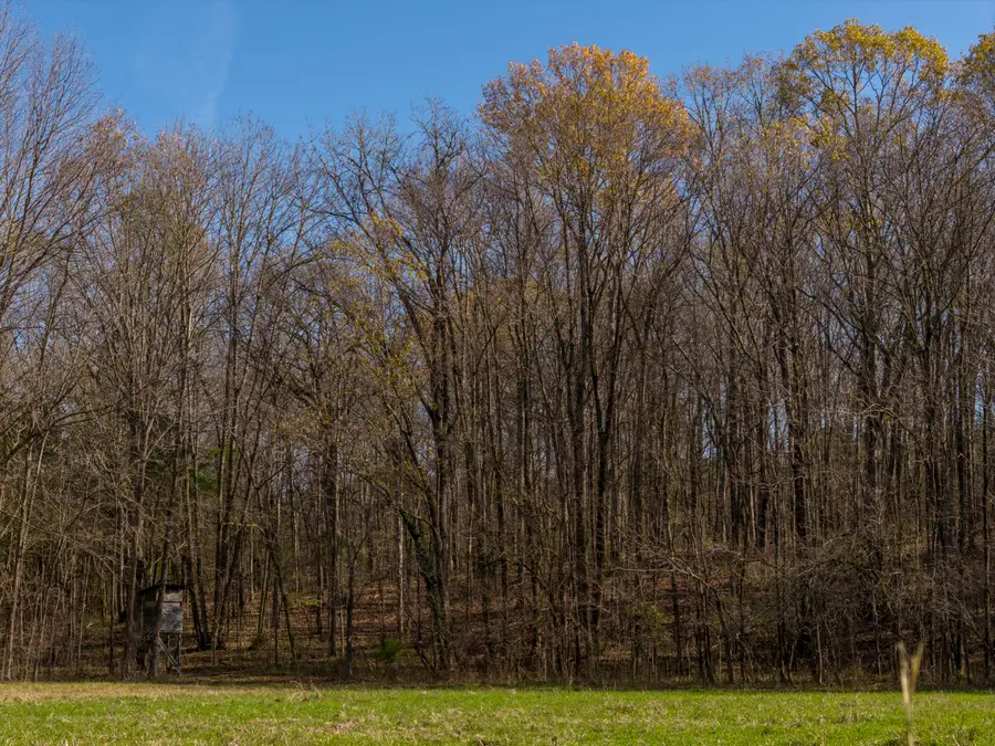 Oktoc Road, Starkville, MS 39759 - Image #2