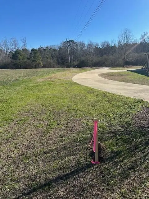 Walden Drive, Columbus, MS 39705 - Image #2