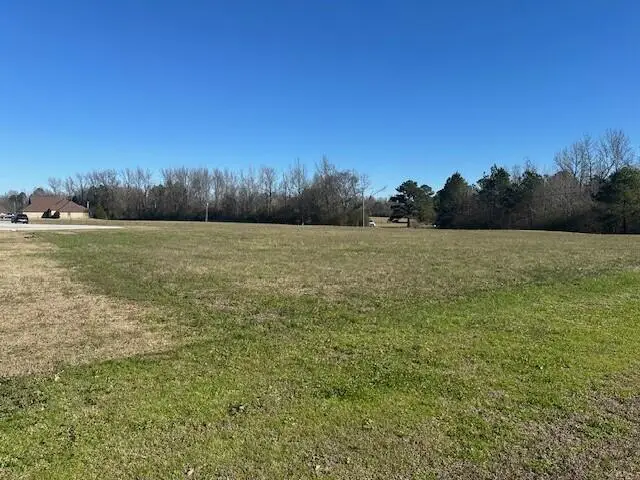 Walden Drive, Columbus, MS 39705 - Image #3