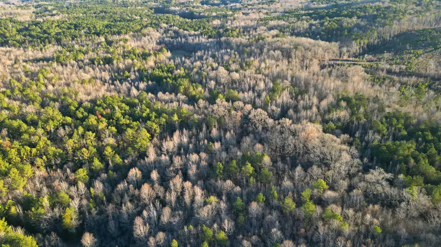 400 Pittman Road, Ackerman, MS 39735 - Image #2