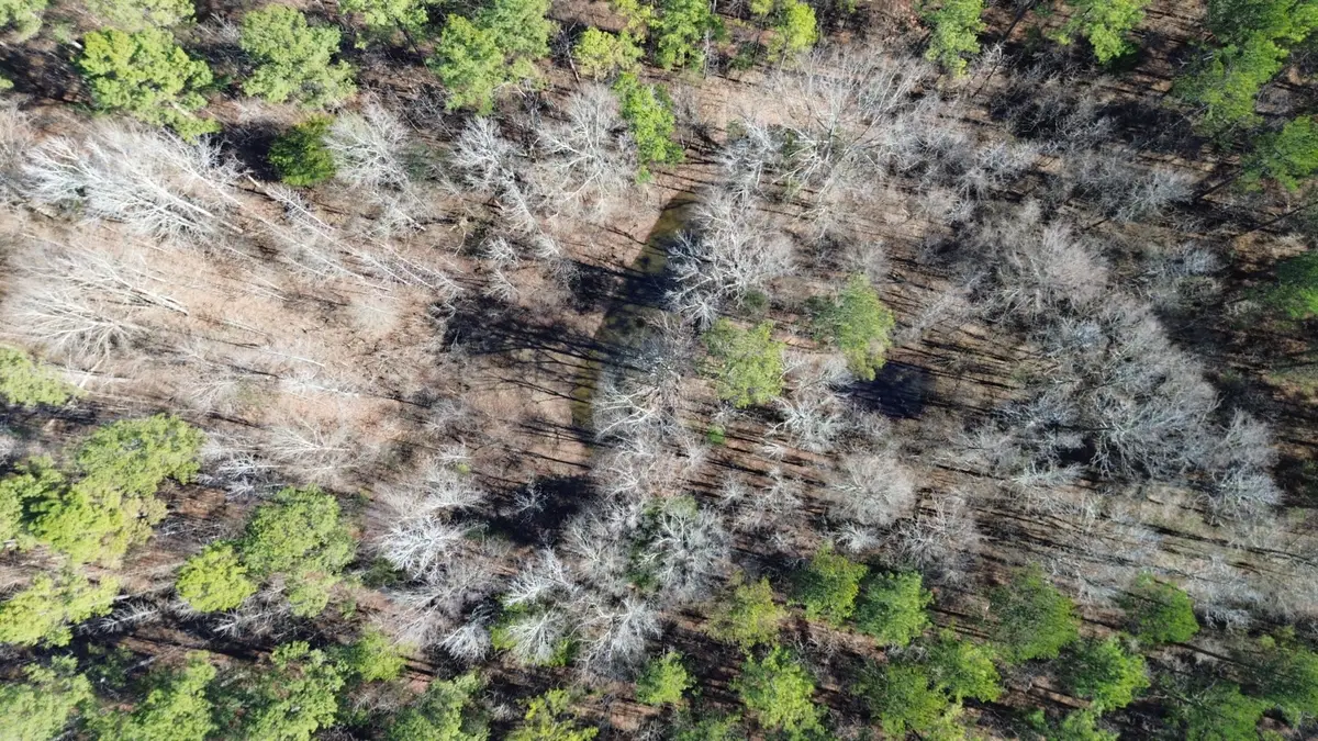 Maben Bell Schoolhouse, Maben, MS 39755 - #1