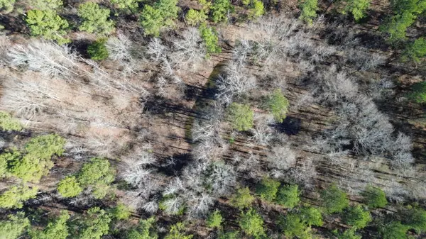 Maben Bell Schoolhouse, Maben, MS 39755