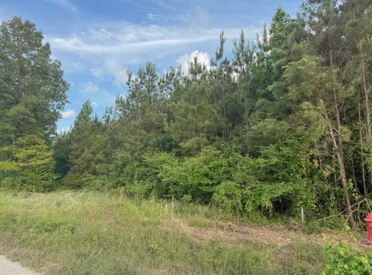Tract #1 Dry Branch Road, Steens, MS 39766 - #1
