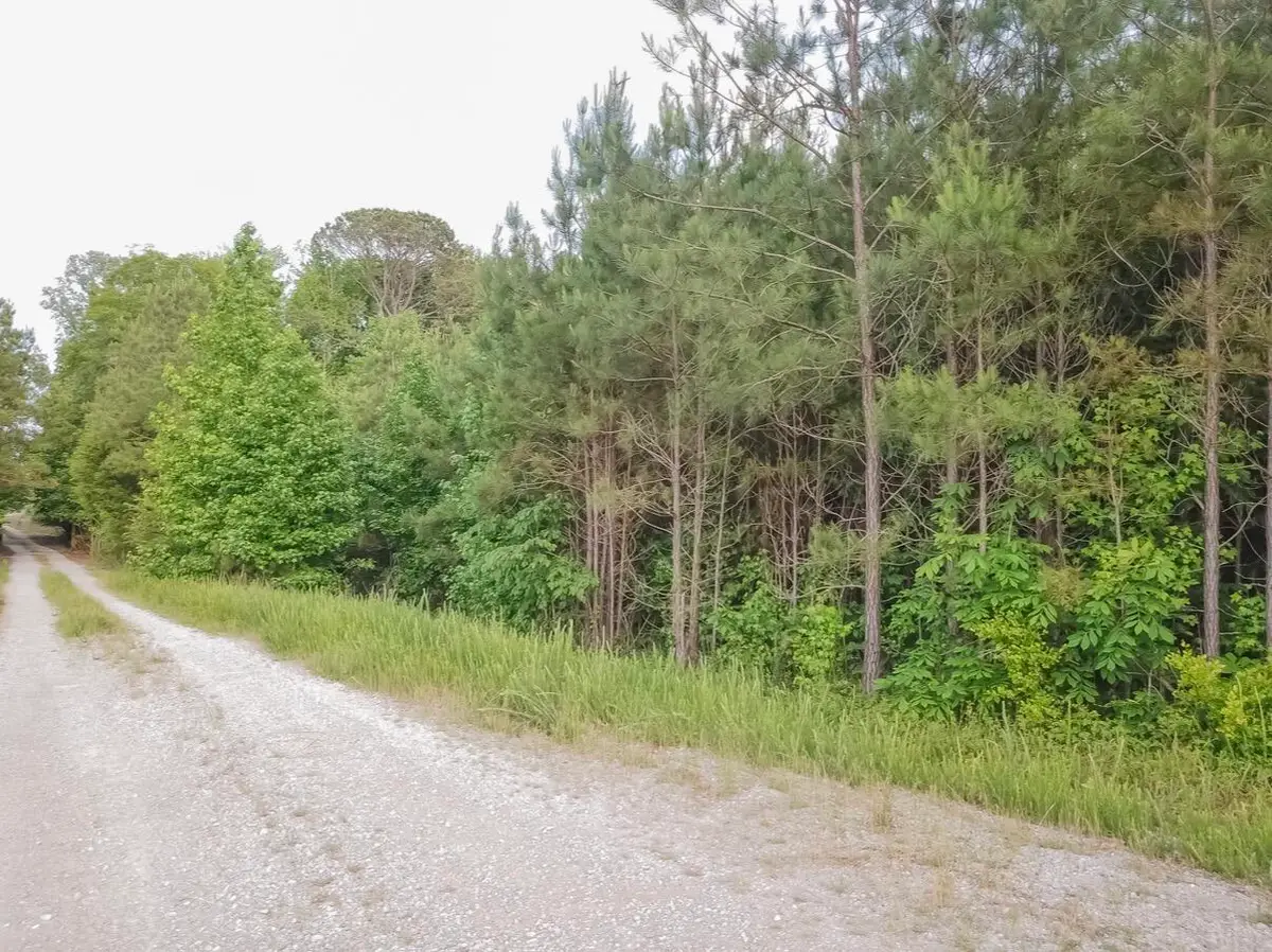 Tract #3 Dry Branch Road, Steens, MS 39766 - #1