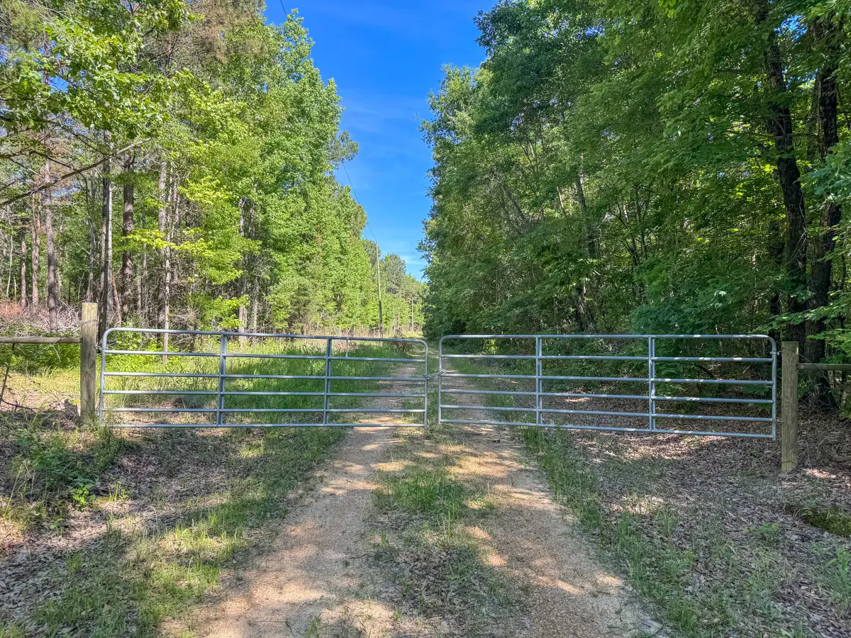 Hill, Mantee, MS 39751 - #1