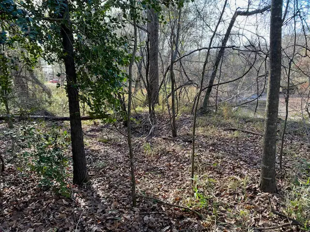 0 Sylvan, Columbus, MS 39702 - #2
