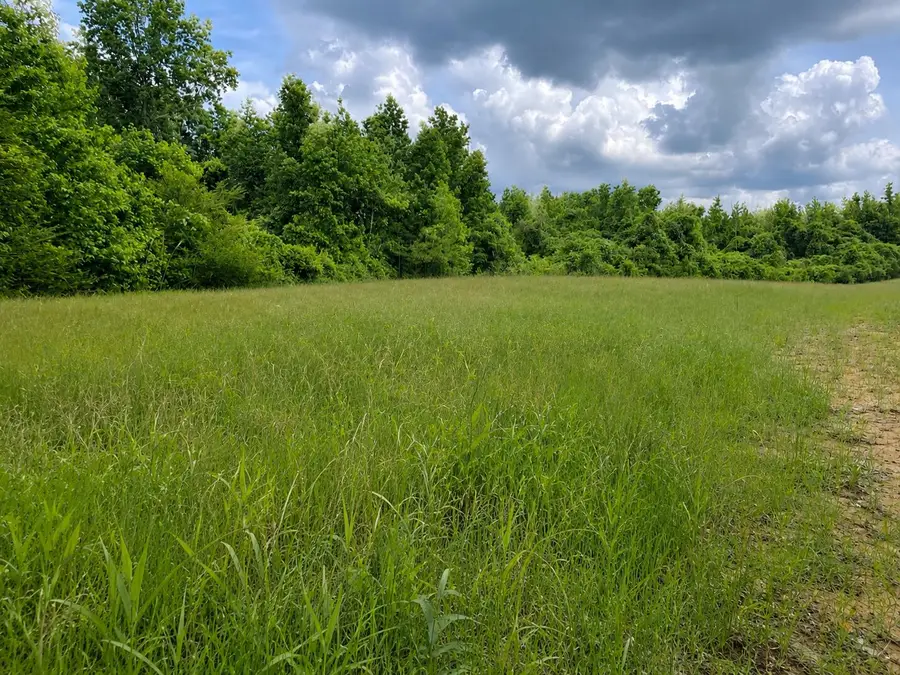 Settlement, Detroit, AL 35552 - #2