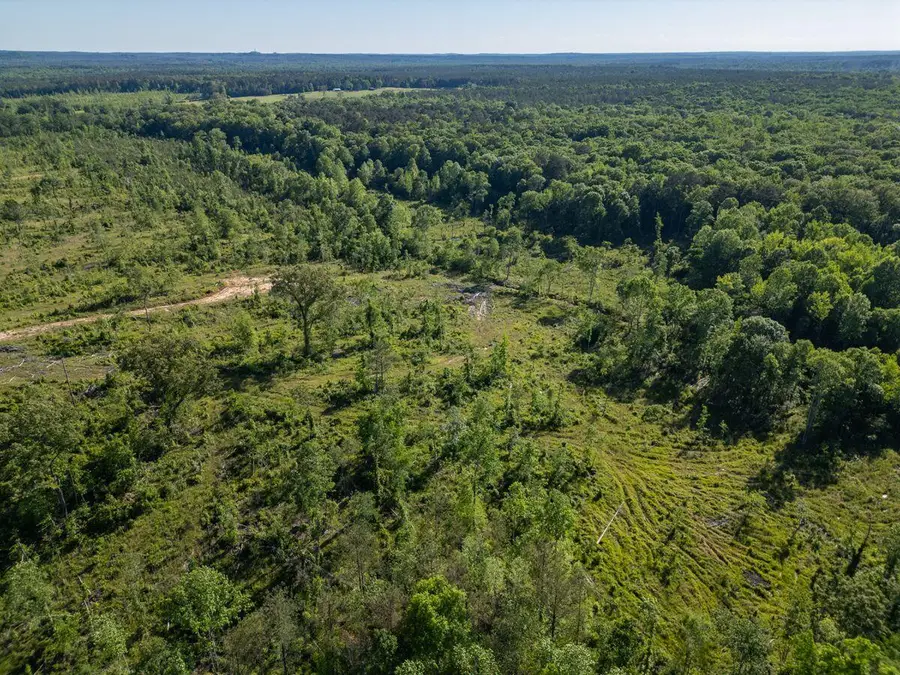 Mississippi 15, Mathiston, MS 39752 - #3