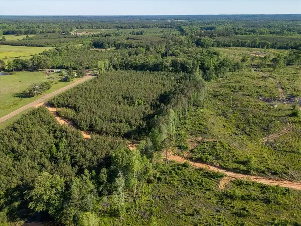 Mississippi 15, Mathiston, MS 39752