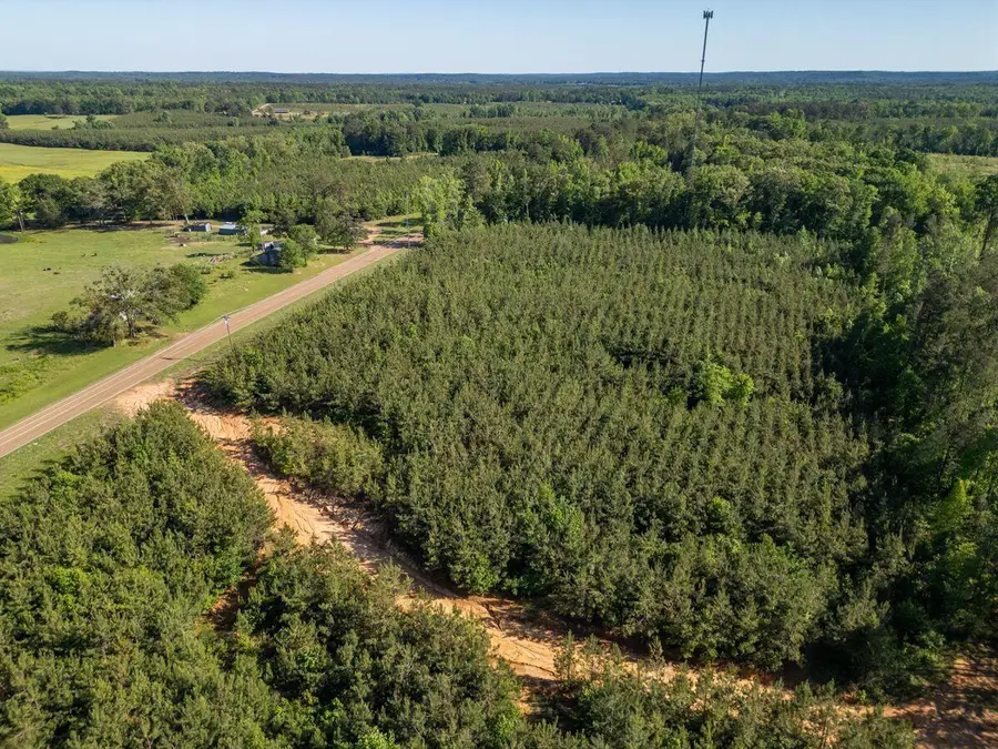 Mississippi 15, Mathiston, MS 39752 - #3