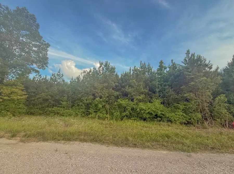 Tract #2&3 Dry Branch Road, Steens, MS 39766 - #2