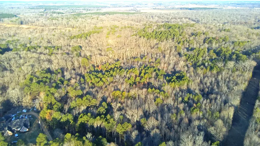 Vfw Rd, Grenada, MS 38901 - Image #2