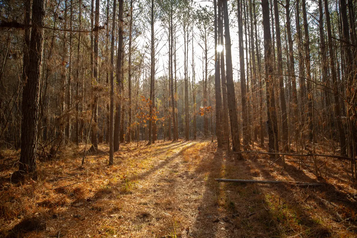 Mcclelland Dr, Sturgis, MS 39769 - #1