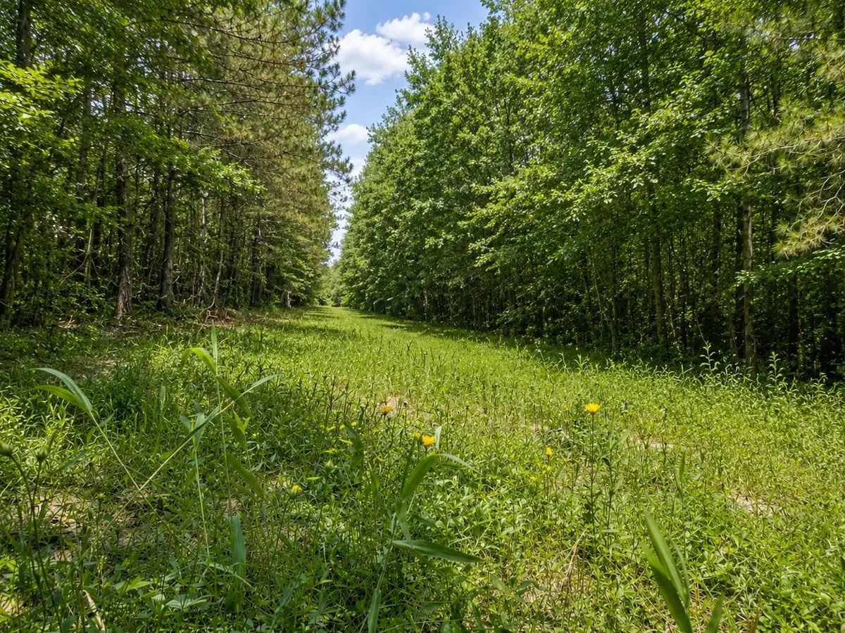 Al-17, Millport, AL 35576 - #1