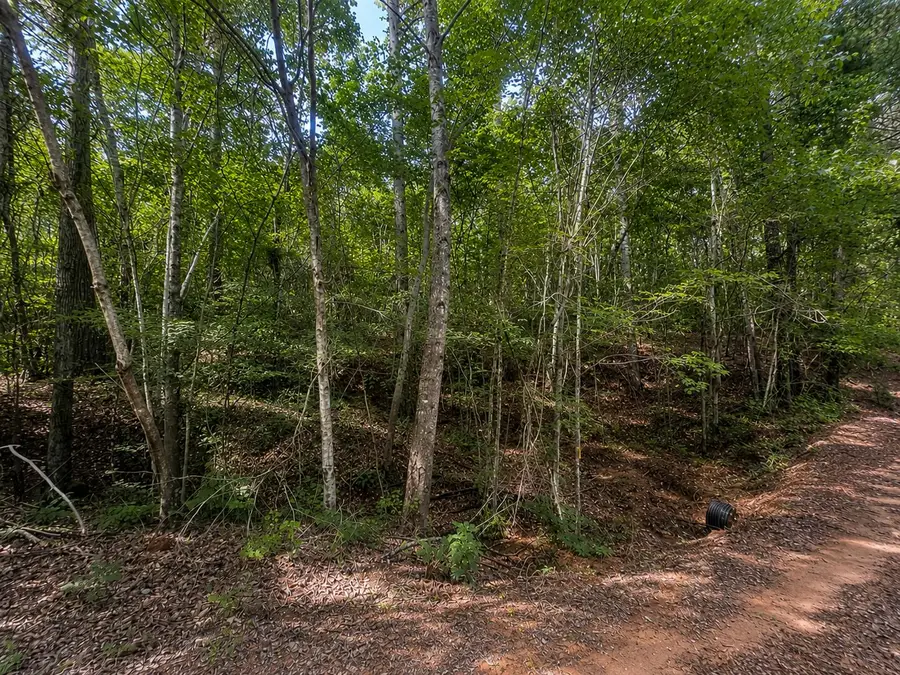 Al-17, Millport, AL 35576 - #2