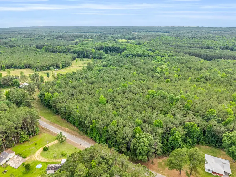 TBD Savannah Lake Rd, Eupora, MS 39744 - #2