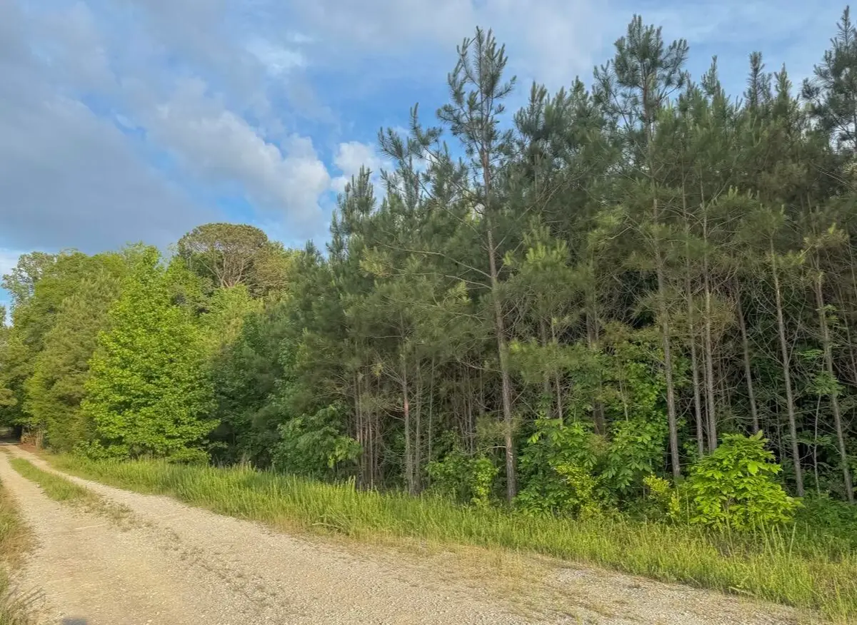 Tract #2 Dry Branch Road, Steens, MS 39766 - #1